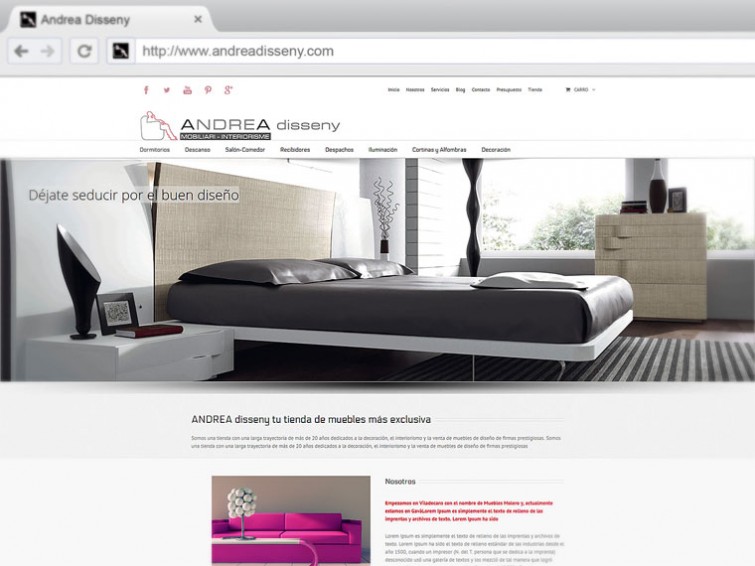 Web Andrea Disseny